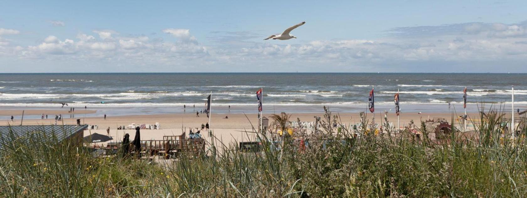 Beach&Dunes Apartment Zandvoort Extérieur photo